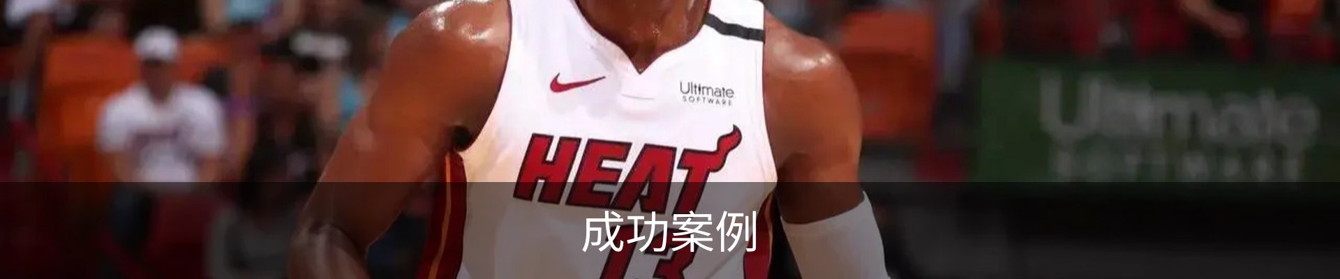 成功案例